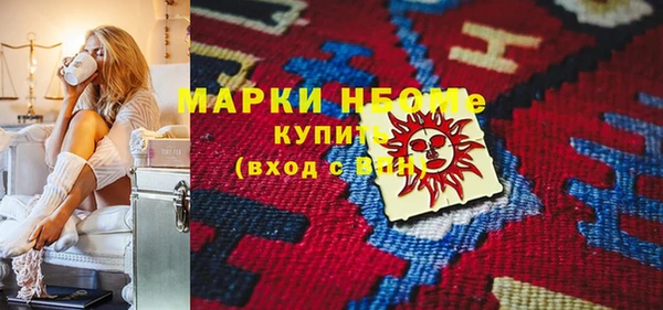 твердый Надым